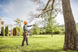 Best Hedge Trimming  in Milford City, CT